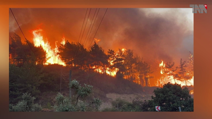 Islamabad- Negotiation and political solution in Afghanistan is the only way forward, PM