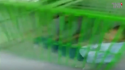 Mandi Bahauddin- A shopkeeper locked the children in a cage on suspicion of theft 