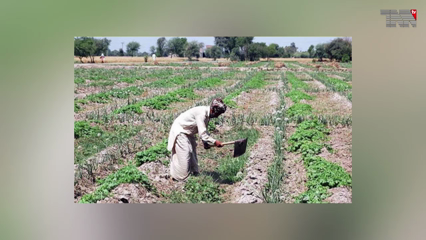 Karachi - In 3 years, the elected government has damaged our entire economy, Bilawal Bhutto