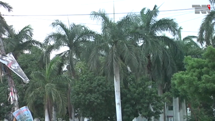 Karachi - The Meteorological Department has forecast more severe cold in Karachi in the coming days