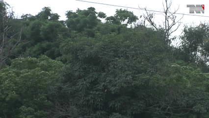 Quetta - Rains in different parts of Balochistan have affected power supply