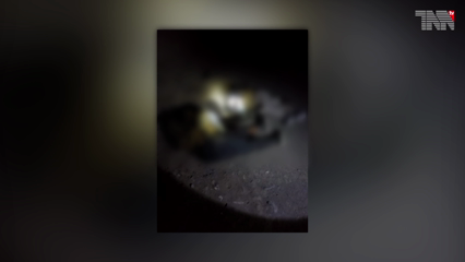 Islamabad - Interior Minister Sheikh Rashid says 15 terrorists killed in Noshki and Panjgur and 4 young men of security forces martyred