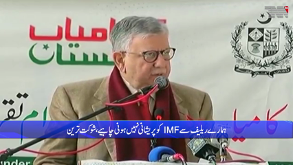 IMF should not have reservations on petrol subsidy: Shaukat Tareen