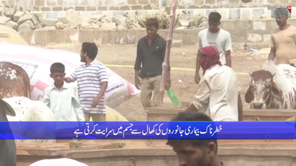 Livestock markets banned across Sindh due to illness