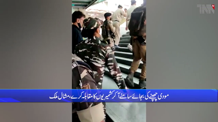 Islamabad- will raise the issue of punishment against Malik in all international forums, Mishal Mallack 