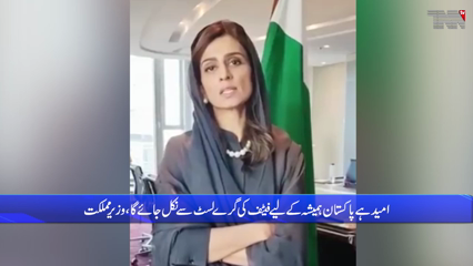 Islamabad-Pakistan's speedy progress greatly appreciated by FATF members: Khar