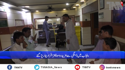 Increase in dengue cases in Karachi and Lahore