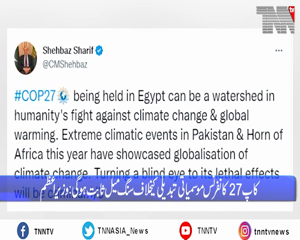 Islamabad- PM Shehbaz Sharif to seek 'climate justice' at COP27