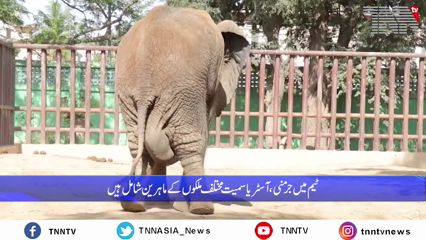 Karachi - Hathani Nurjahan's health is unwell, a team of foreign doctors arrived