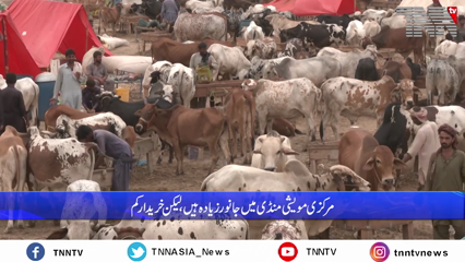 Karachi- Cattle market in Northern Bypass was almost empty before Eid