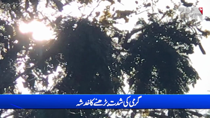 Heatwave-Like Conditions Predicted in Sindh - TNN TV