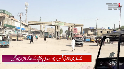 Tomato Prices Begin to Fall Nationwide After Hitting Record Highs 