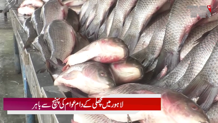 Winter Fish Delicacy Slips Out of Reach Amid Soaring Prices and Flood Impact in Pakistan
