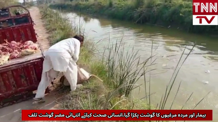 Diseased and Dead Chicken Seizes