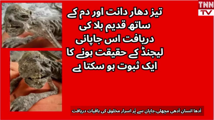 Half-Human, Half-Fish Remains Found in Japan Spark Mystery and Debate